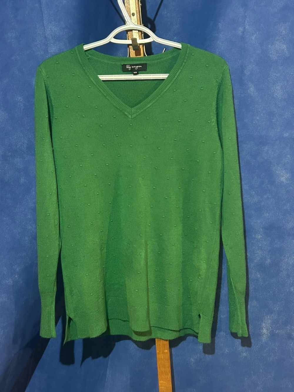 Liz Claiborne Green V-Neck Dot-Texture Sweater